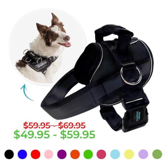 Joyride 2.0 Dog Harness in Solid Colors with 13 Complimentary Personalized Nametags, No-Pull Technology, and 360° Reflective Strips for Enhanced Night Safety - Durable Harness for Large Breeds
